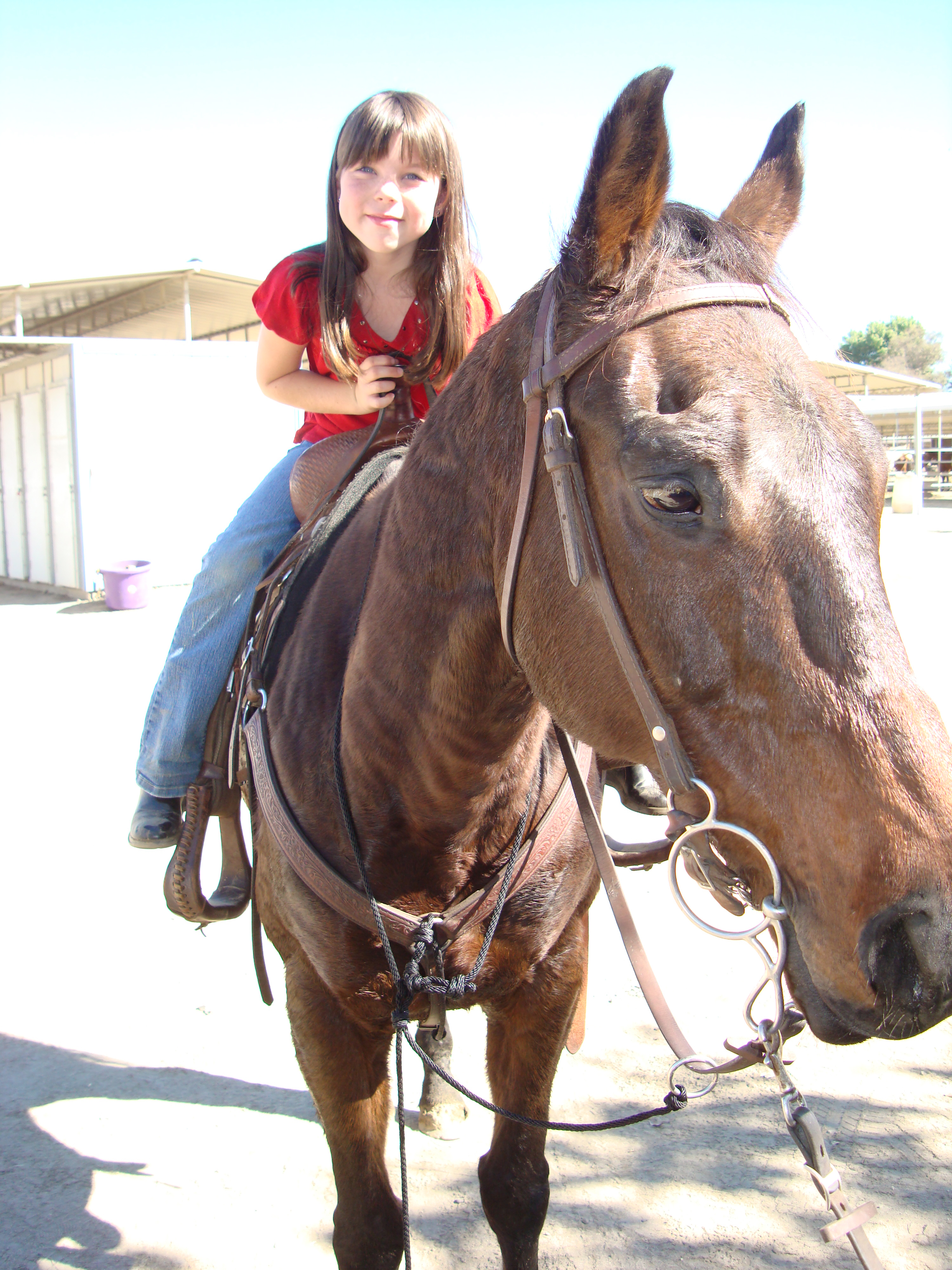 Alyssa on the horse in DEATH & JANE