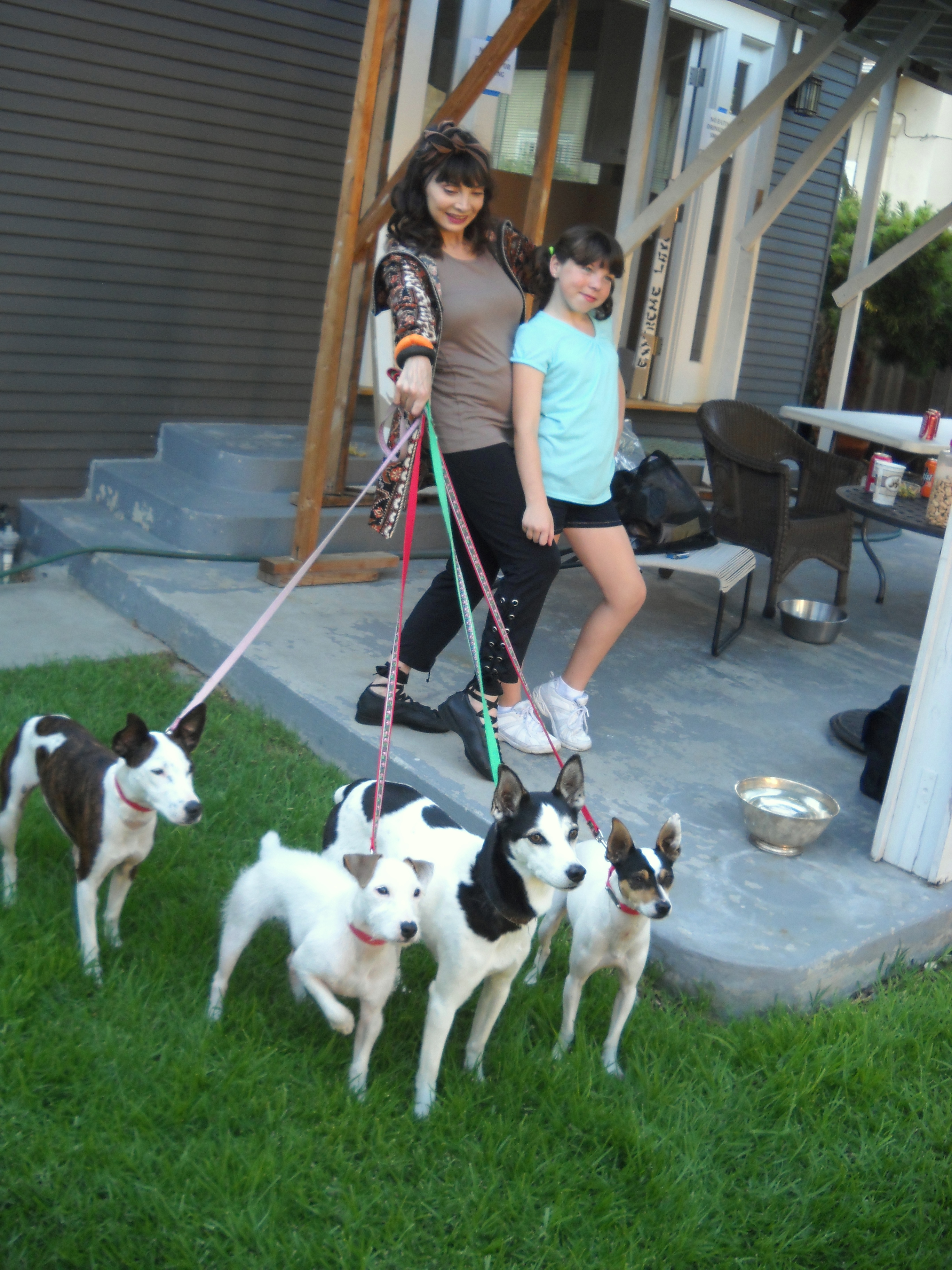 Toni Basil, Alyssa and the trained doggies that were to be a part of the DISH NETWORK commercial