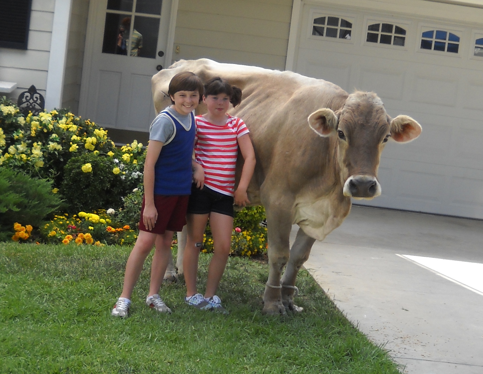 Travis & lil sis Alyssa with the COW for REAL CALIFORNIA MILK commercial.