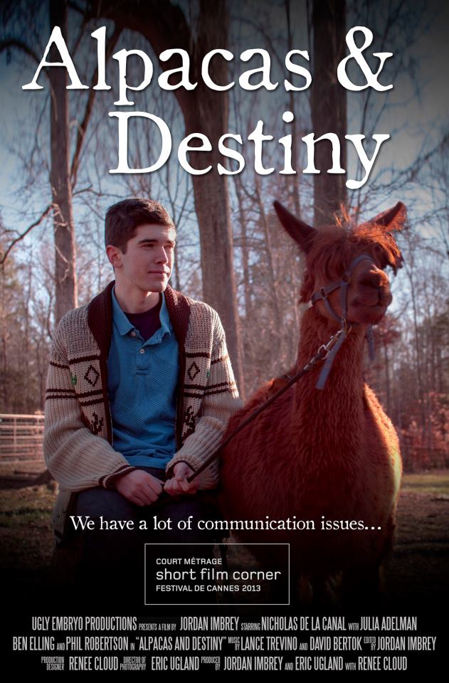 Alpacas & Destiny Poster