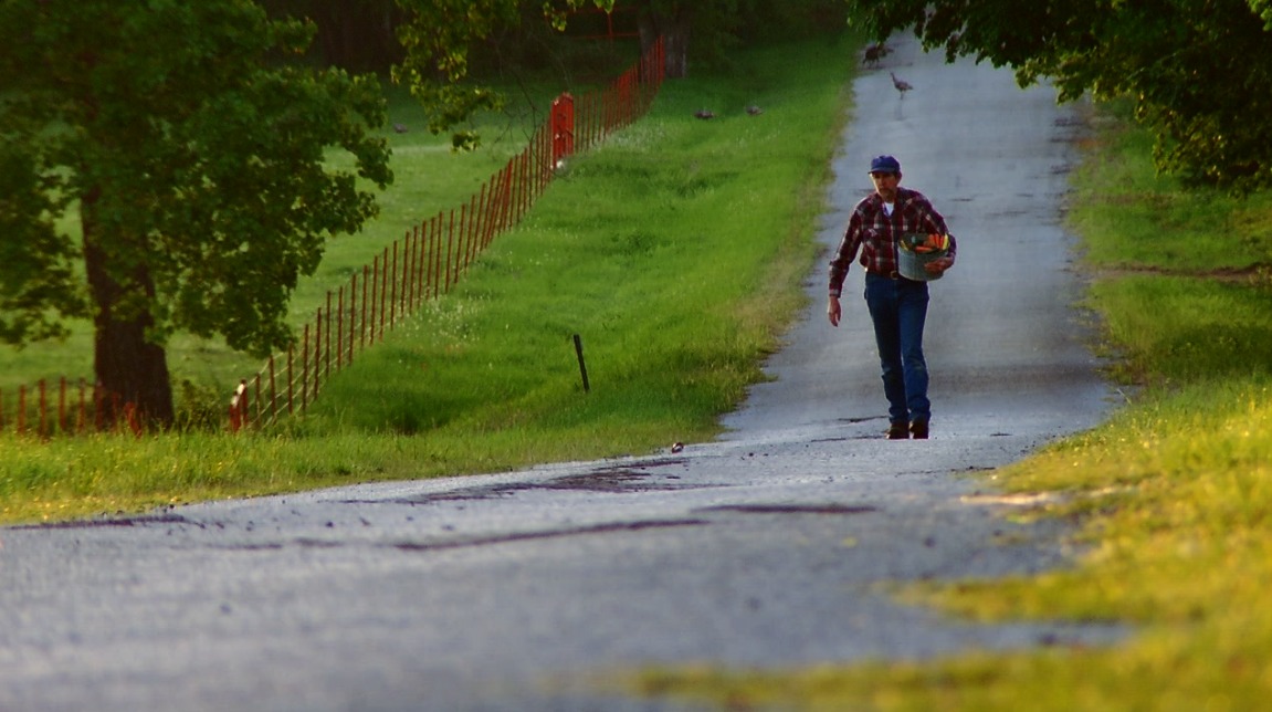 Richard as Eli walking to market in The Root and The Offspring. Notice the wild turkeys crossing behind him.