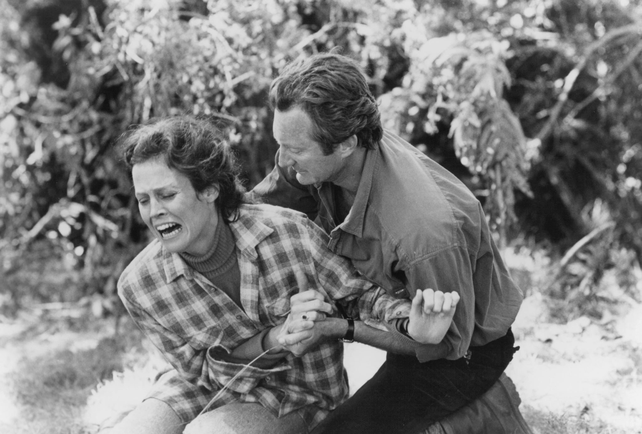 Still of Sigourney Weaver and Bryan Brown in Gorillas in the Mist: The Story of Dian Fossey (1988)