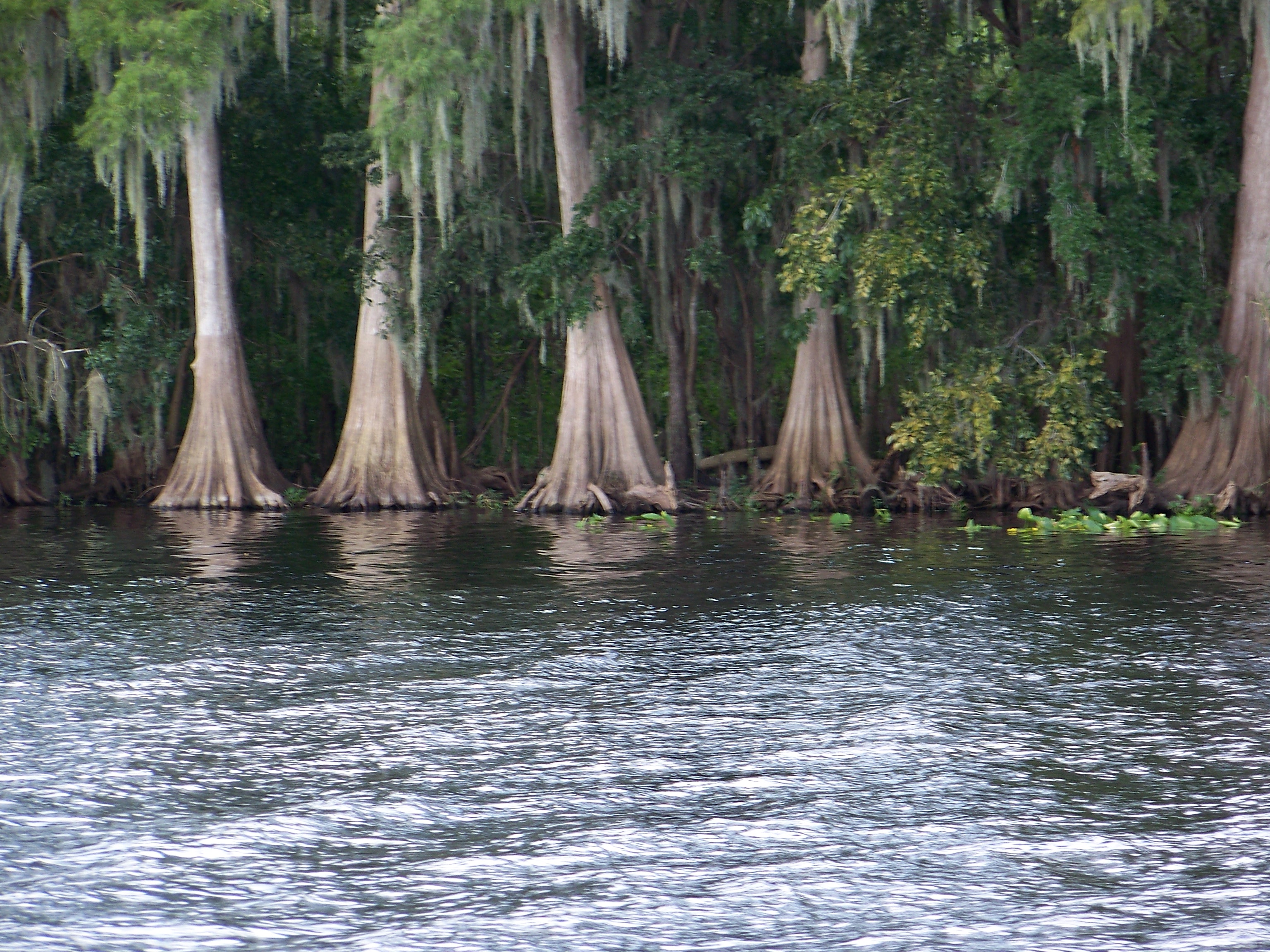Drifting along the St. Johns River in FL on my brother Captain Ron's Native II.