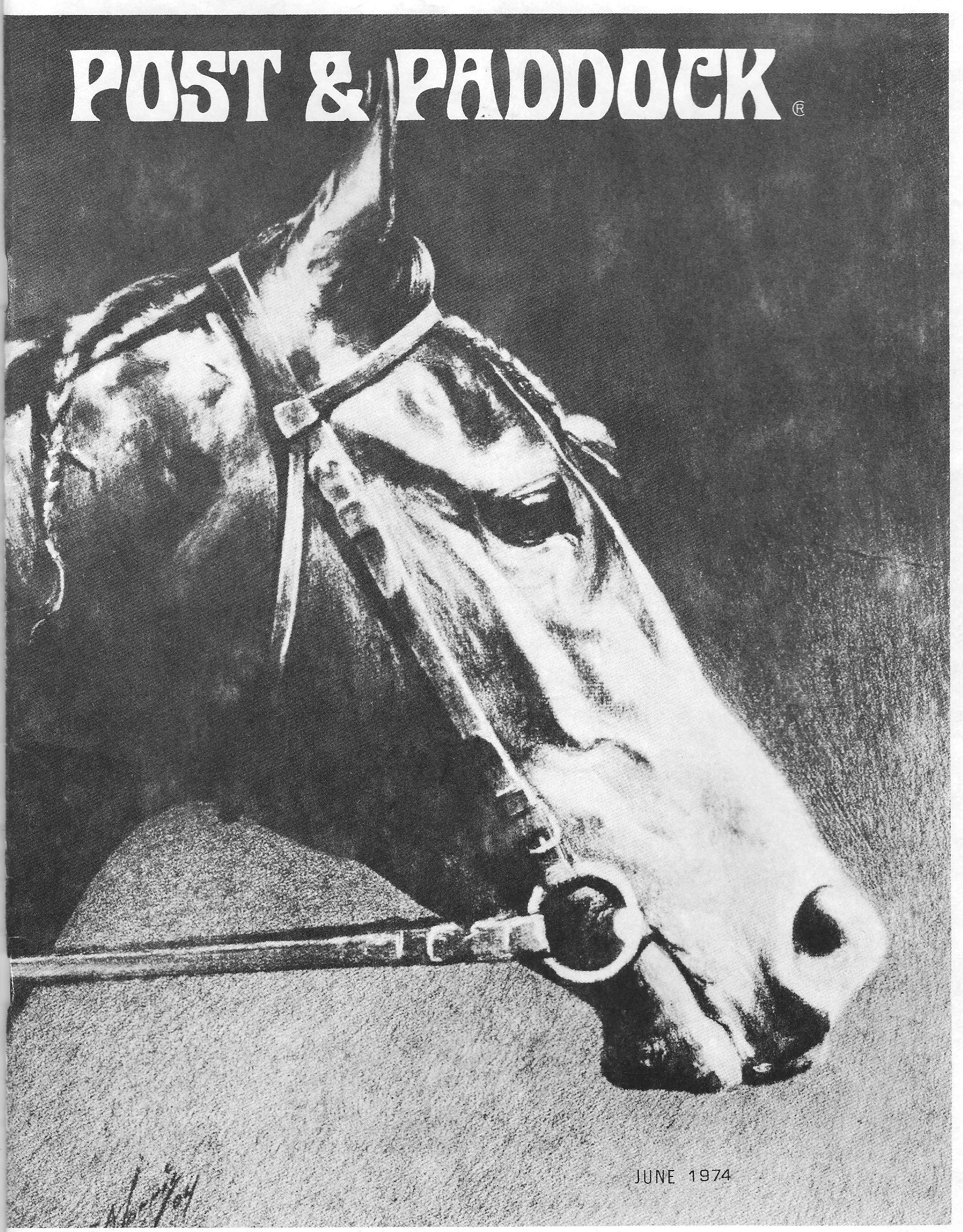 POST & PADDOCK MAGAZINE COVER A Ross paper portrait of the thoroughbred MACCHESNE - a contemporary of great race mare, Beldame)painted 1904 by George Ford Morris(Portraitures of Horses)1952 copyright book)Fordacre Studios Publishing Co. NJ)