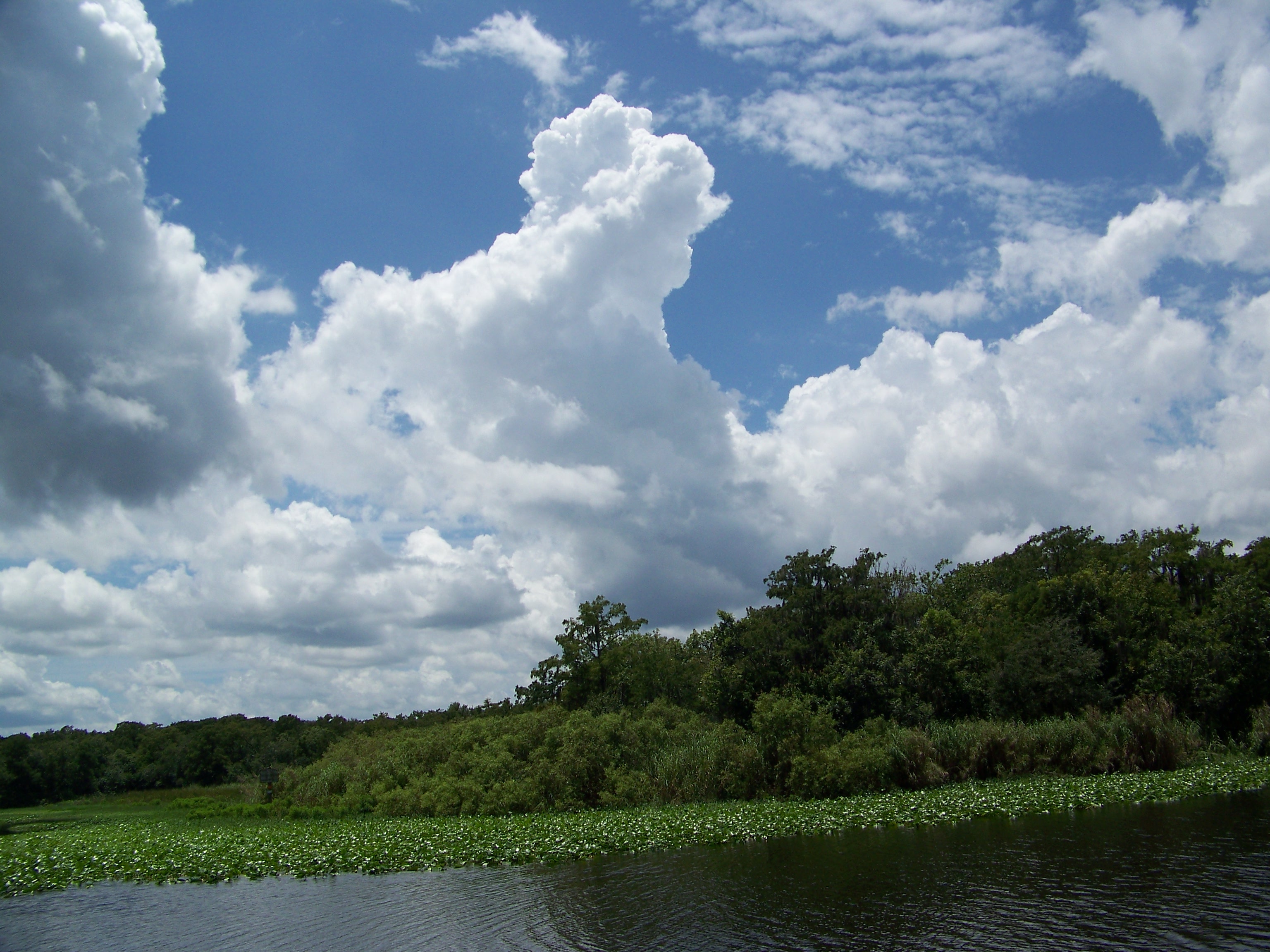 Cloud artistry above the St. John's River...Lions, and tigers and bears...OH...so wonderful to explore.
