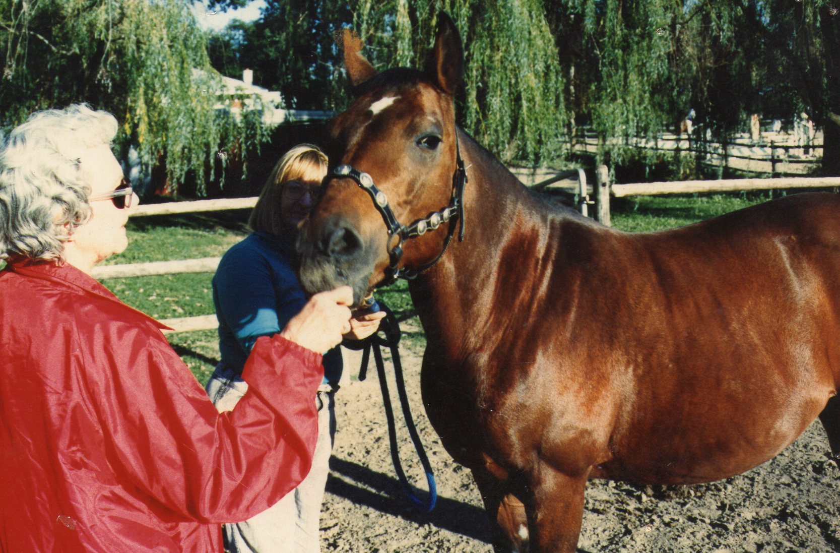 My wonderful Mom, my beloved Valory, (AQH) my friend for 23 years, and I. Valory traced back in her pedigree to the legendary Man o'War.