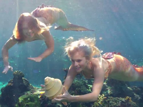 Still of Ivy Latimer and Amy Ruffle in Mako Mermaids (2013)