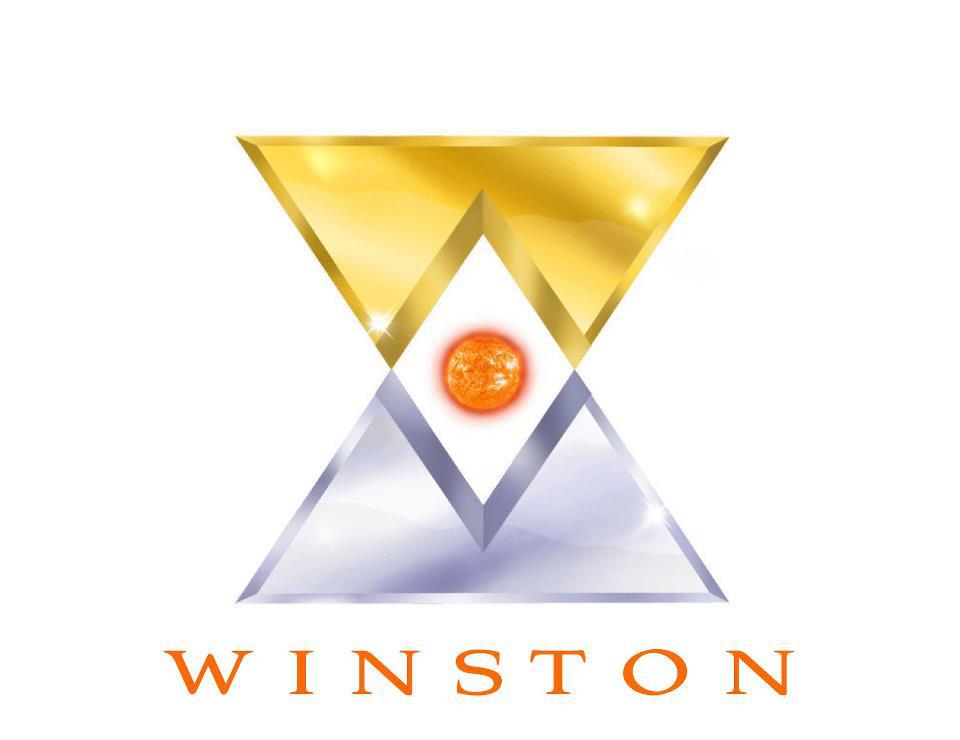 THE WINSTON FAMILY, OFFICIAL LOGO AND BRANDING ©WINSTON ENTERPRISE, LLC 2014