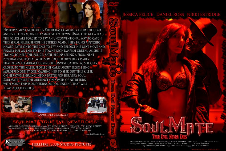 Back of DVD of Soulmate