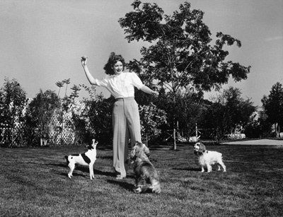 Lucille Ball playing with dogs