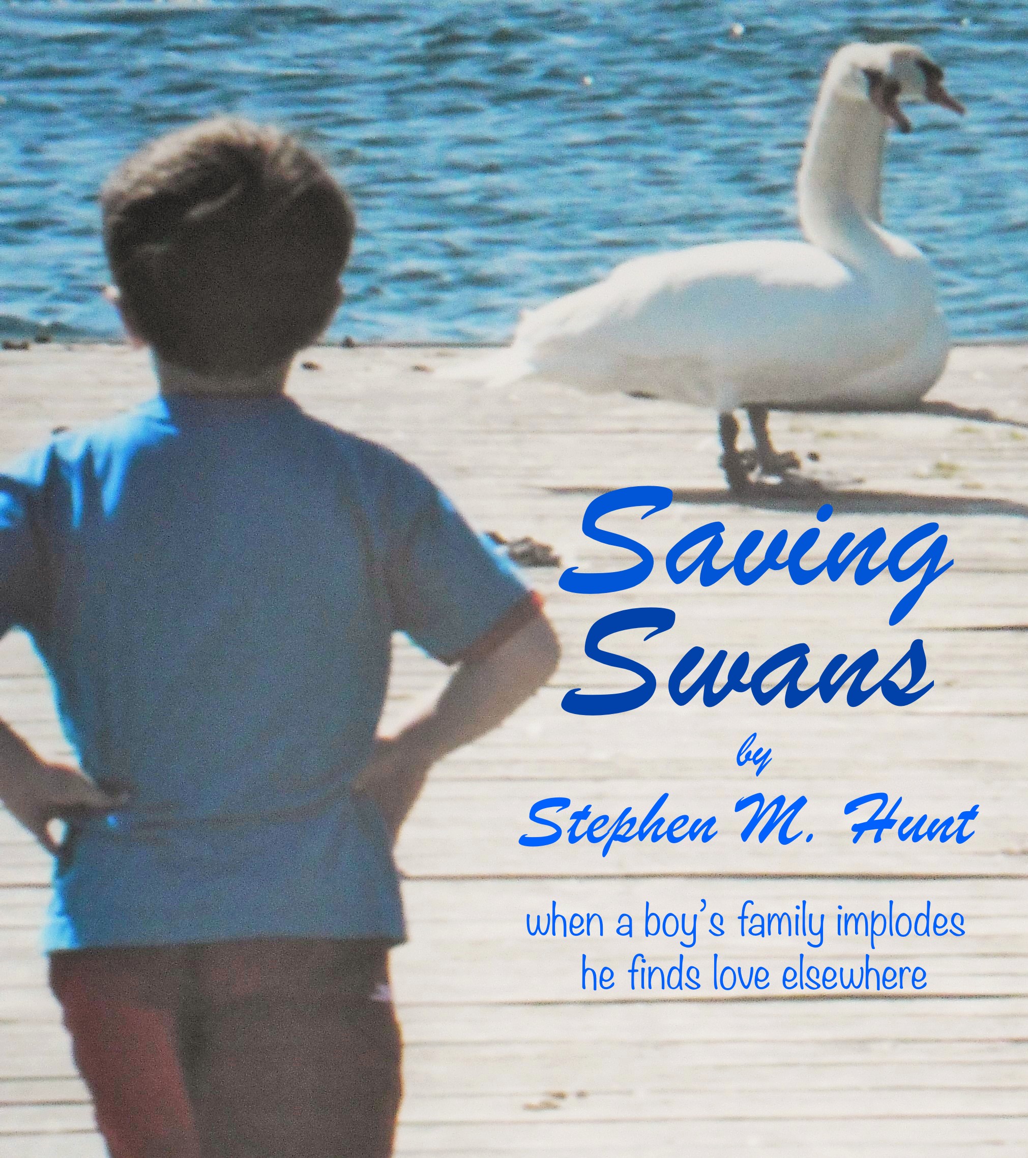 a young boy repeatedly risks his life for a family of swans which which inspires his own disintegrating family.