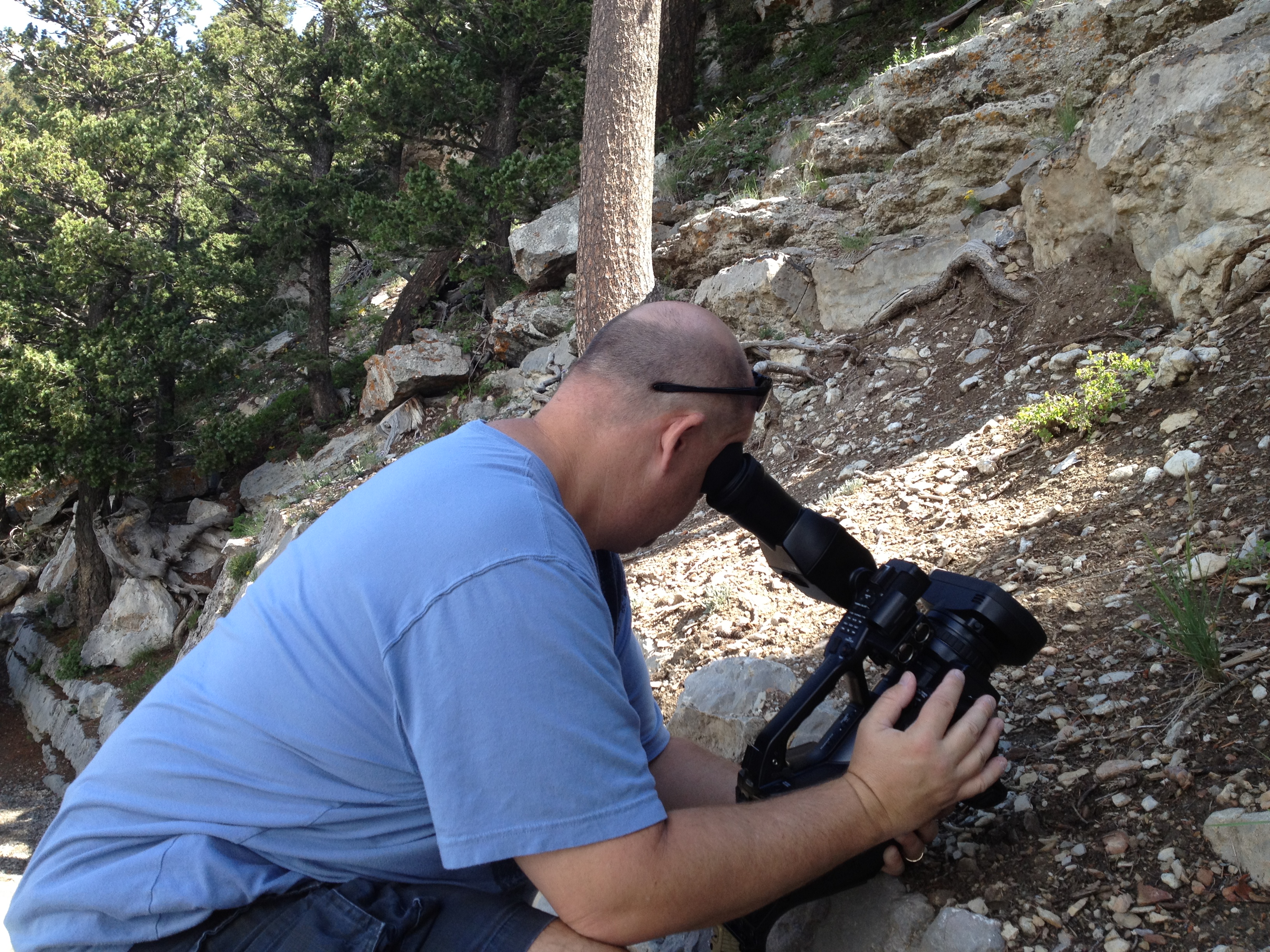 Production in New Mexico