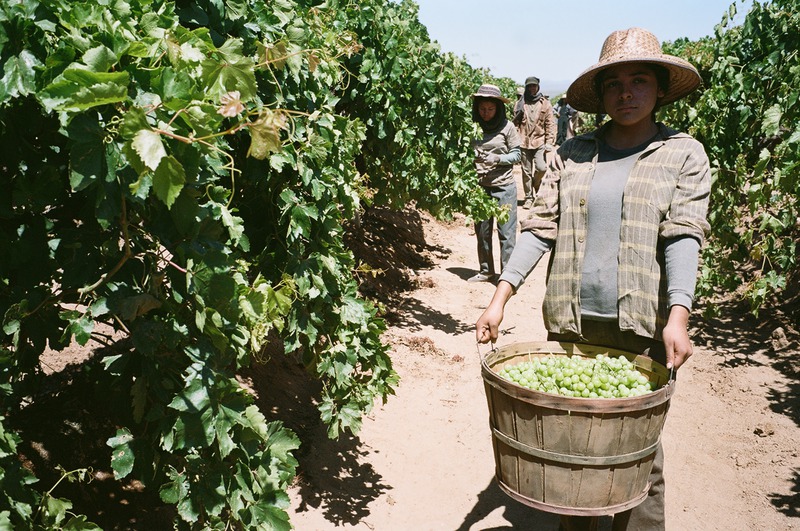 Lorena Mcgregor in Cesar Chavez