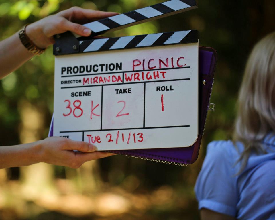 Picnic feature film (Wright, 2015)