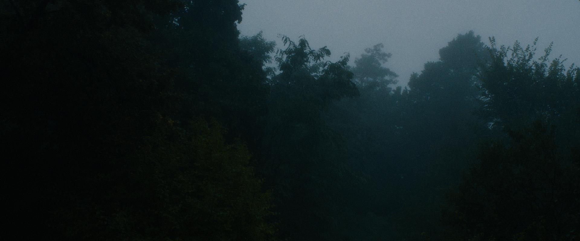 Besuch im Wald (Short, 2014)