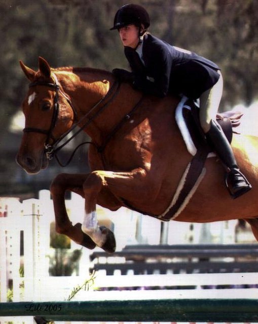 Michelle Elise equestrian sport jumping