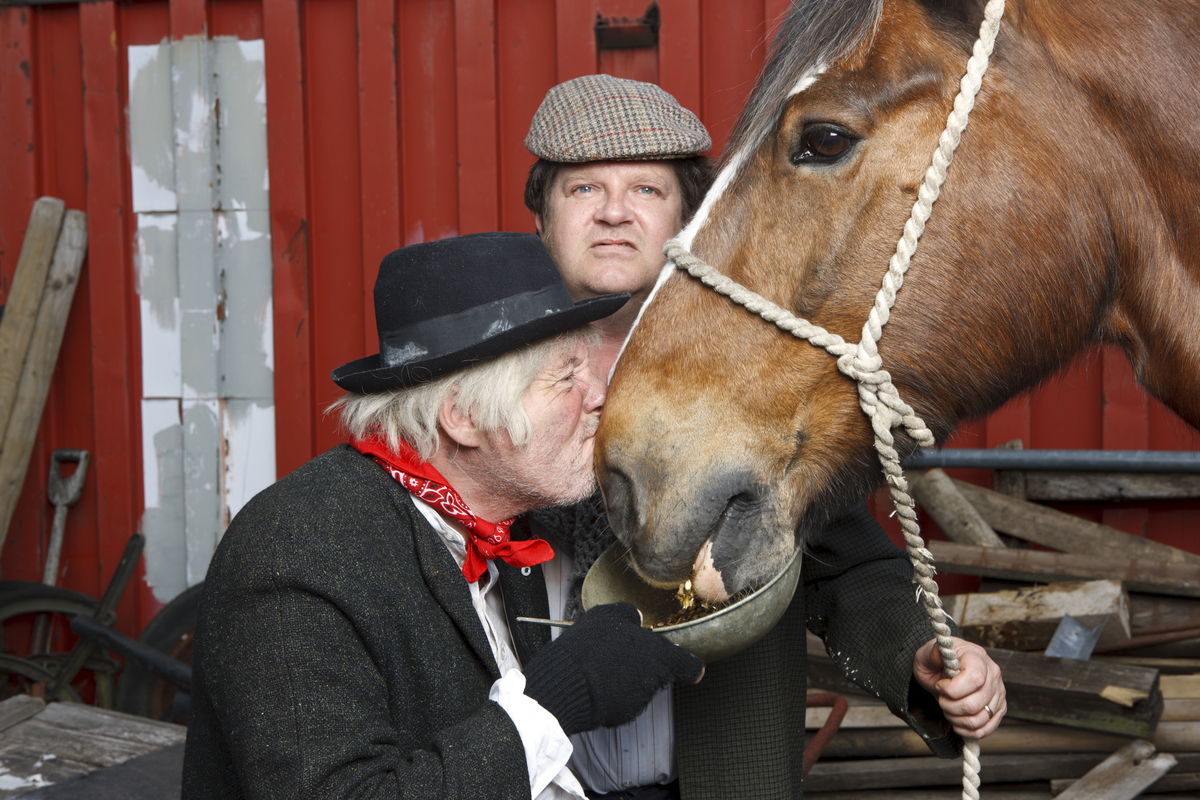 David Pibworth as Harold Steptoe in'Steptoe & Son' (Stage)