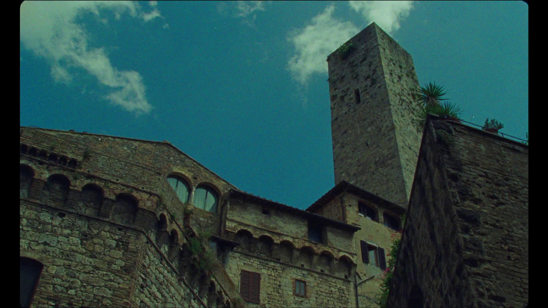 San Gimignano - Le Gialle Viole di Santa Fina by Lorenzo Raveggi