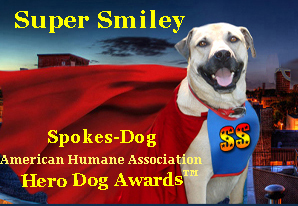 Super Smiley, Official National Spokes-Dog for the American Humane Association Hero Dog Awards