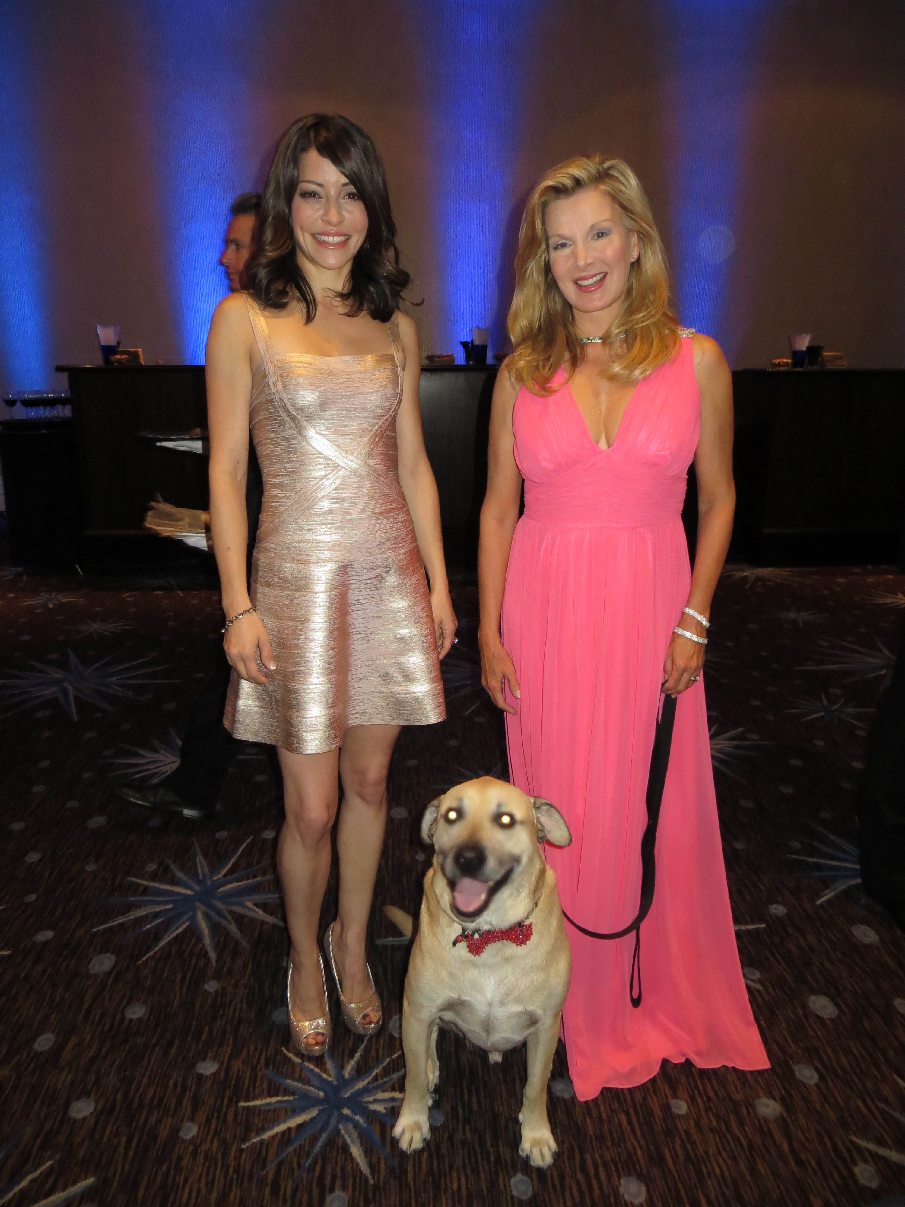Emmanuelle Vaugier with Super Smiley and Megan Blake at the 2013 Hero Dog Awards. Smiley was in a film with Emmanuelle, 