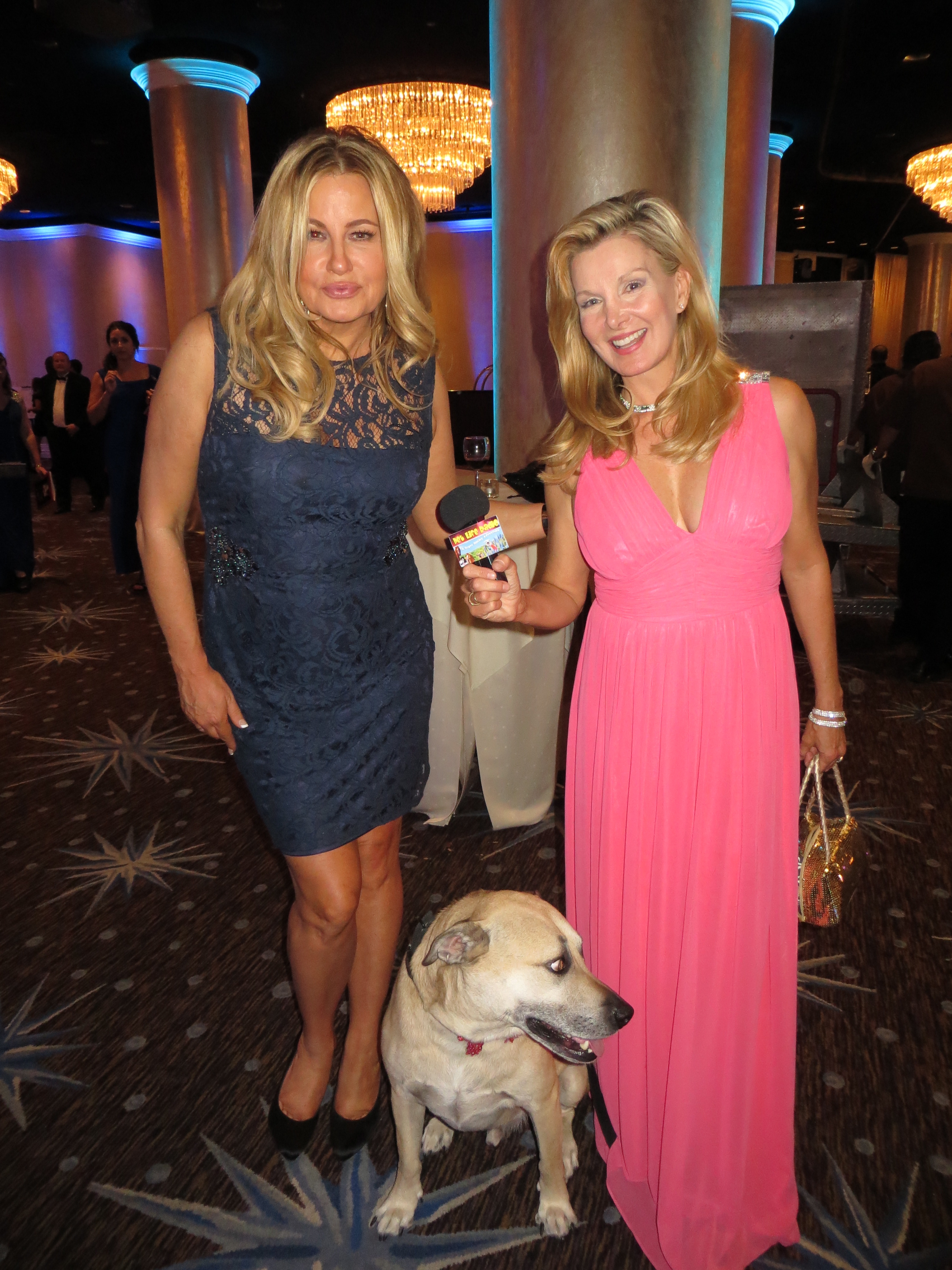 Jennifer Coolidge with Super Smiley, Official Spokes-Dog for the Hero Dog Awards, at the Hero Dog Awards, for Hallmark Channel. with Megan Blake for Pet Life Radio