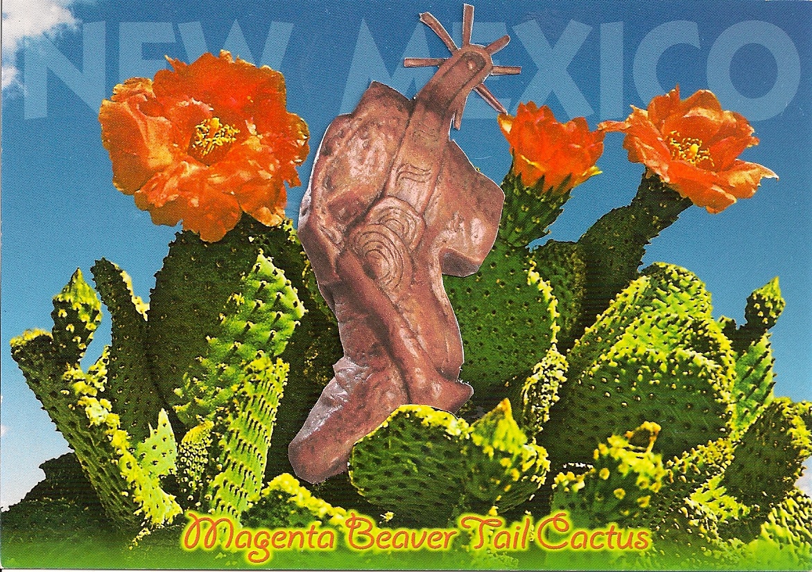 Magenta Beaver Tail Cactus & Onate's Foot. Historic Feature Documentary in production, Razalas Studios