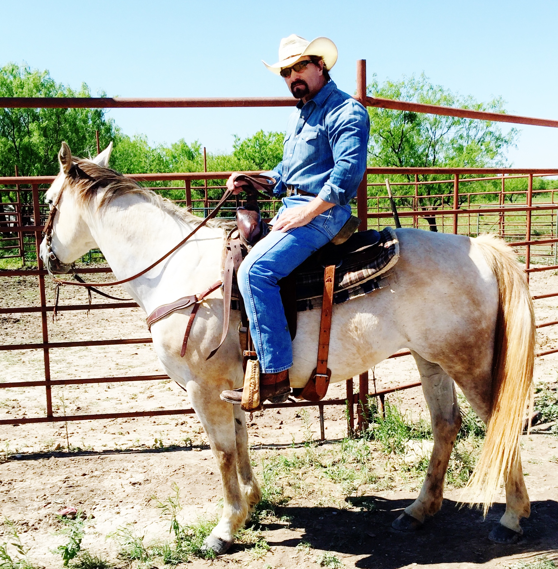 She Rides Bulls