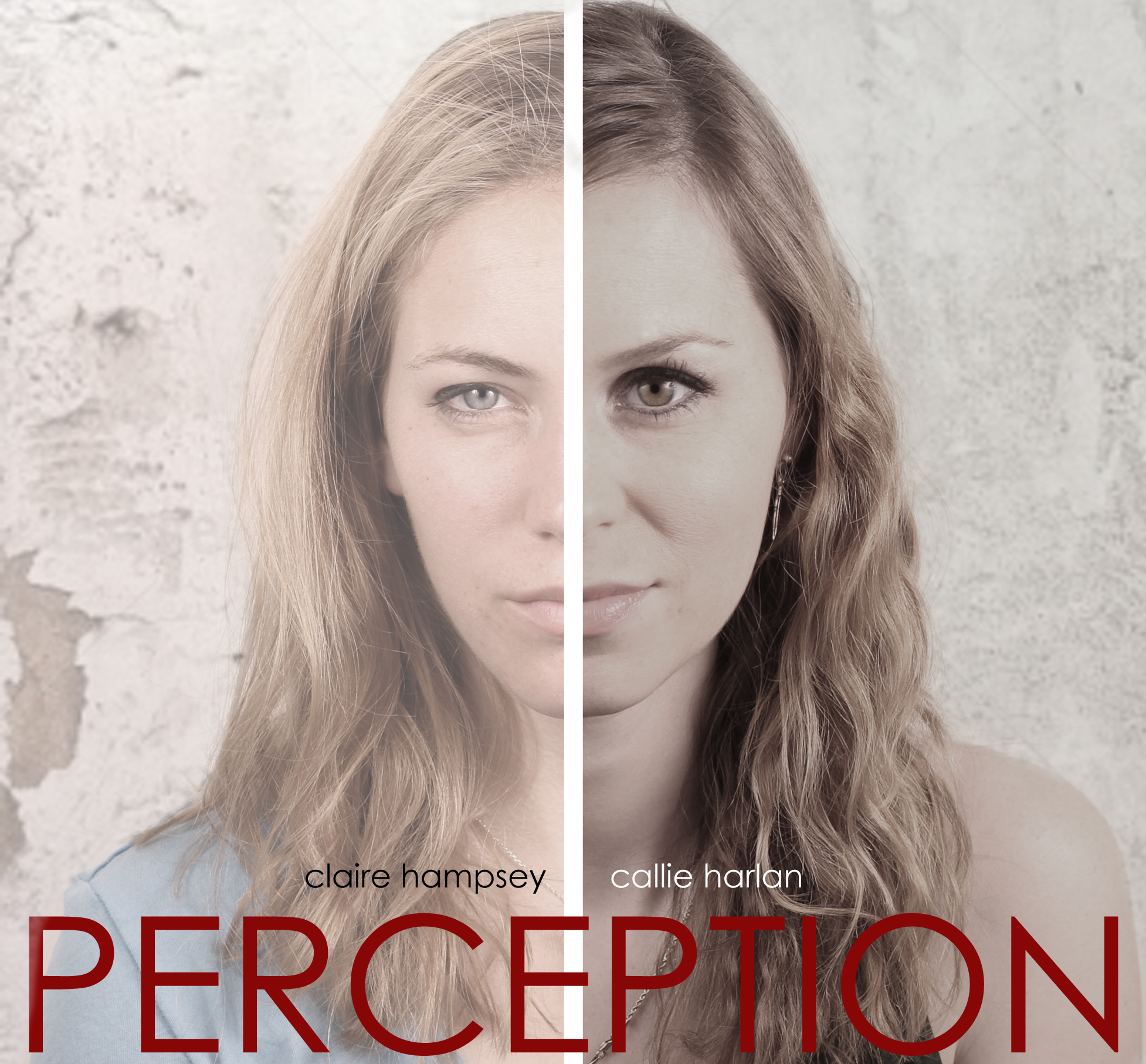 Official cover for Perception