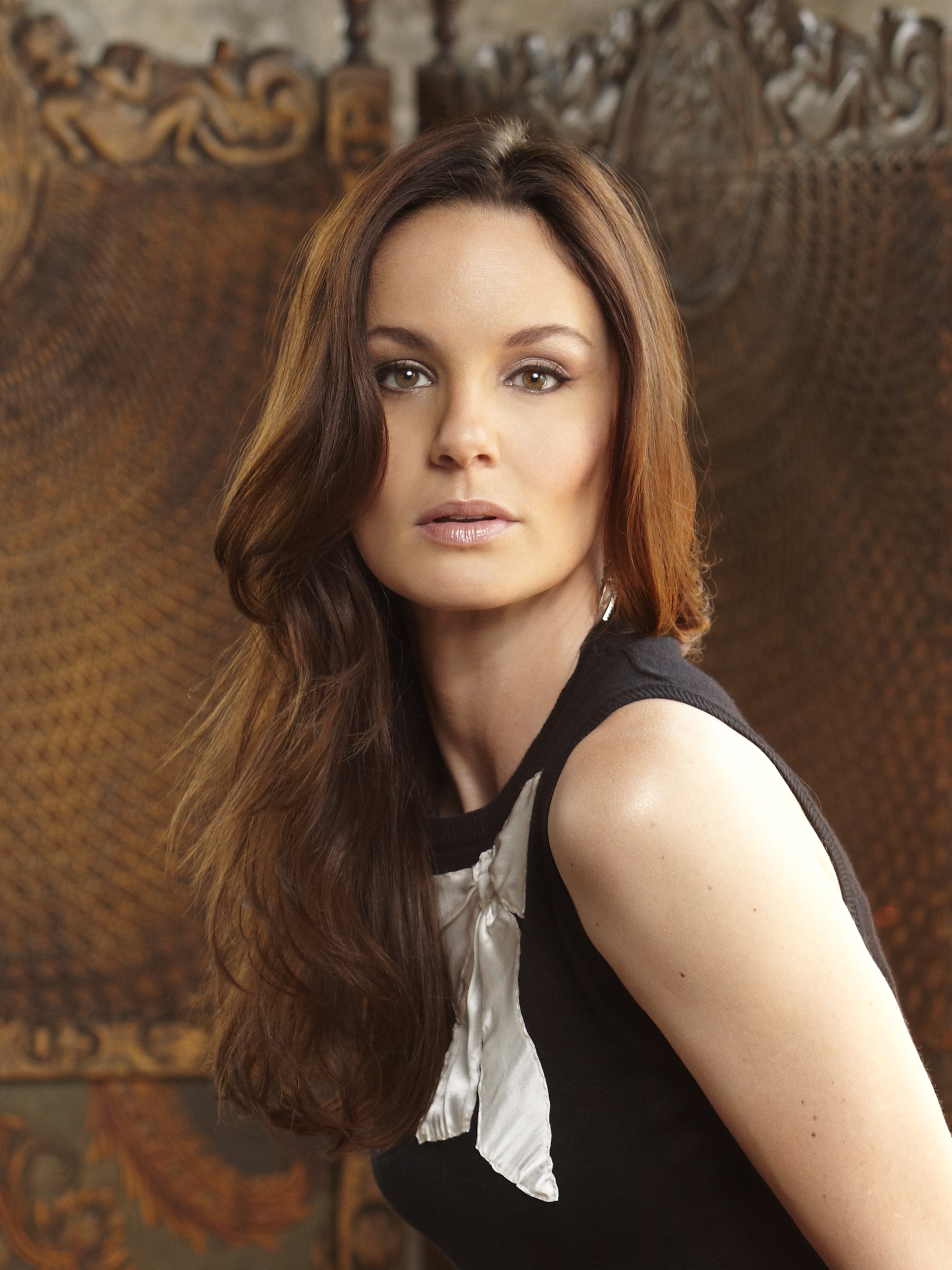 Sarah Wayne Callies