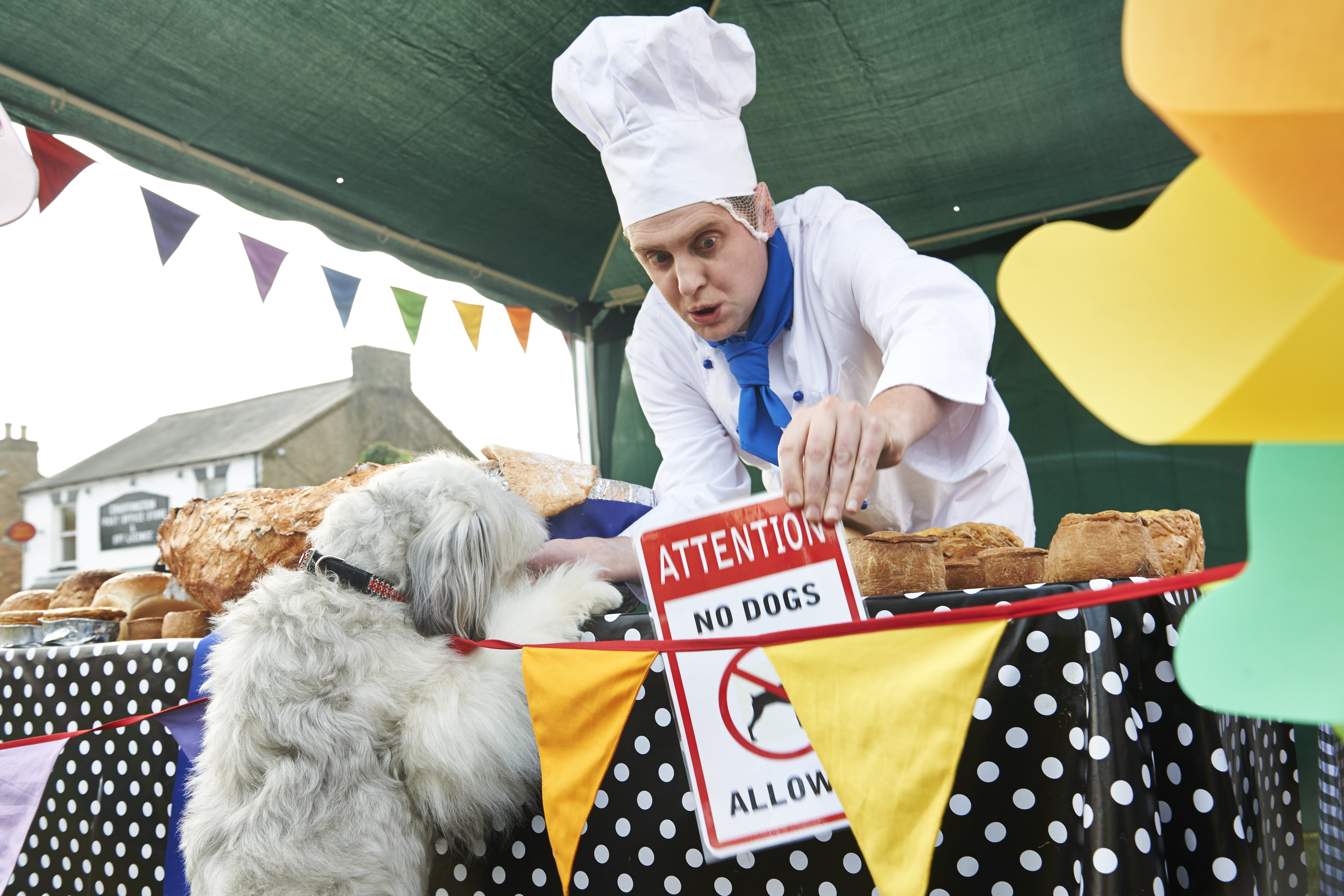 Still of Pudsey in Pudsey the Dog: The Movie (2014)