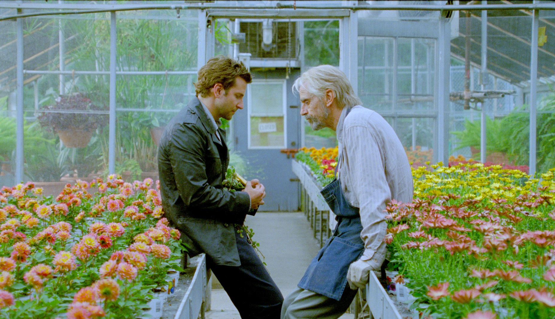 Still of Jeremy Irons and Bradley Cooper in The Words (2012)