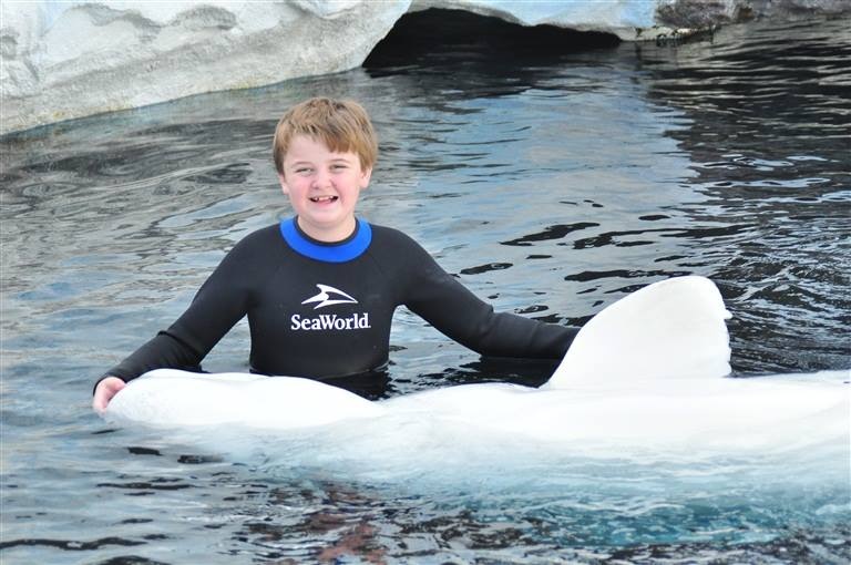 Sea World Baby Beluga