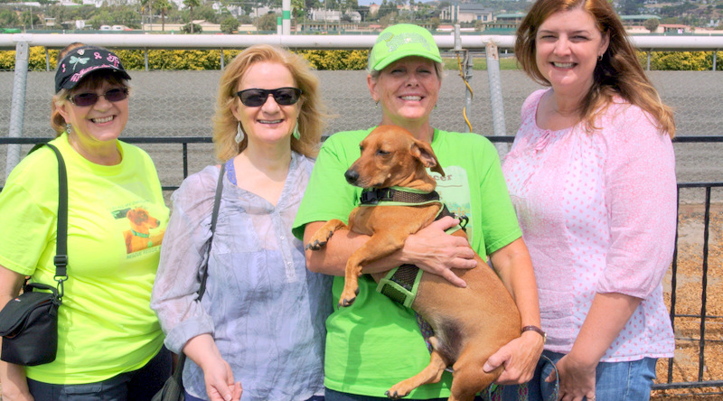 Reggie at Del Mar for Wienerschnitzel Wienernationals regional qualifier finals. Pictured with him is Michele Shoemaker of Sunny Oasis Rescue, Anne Mcfassett, Fan Club President, with Melinda Smith, his racing coach and starter Stacy 'ROO' Smith