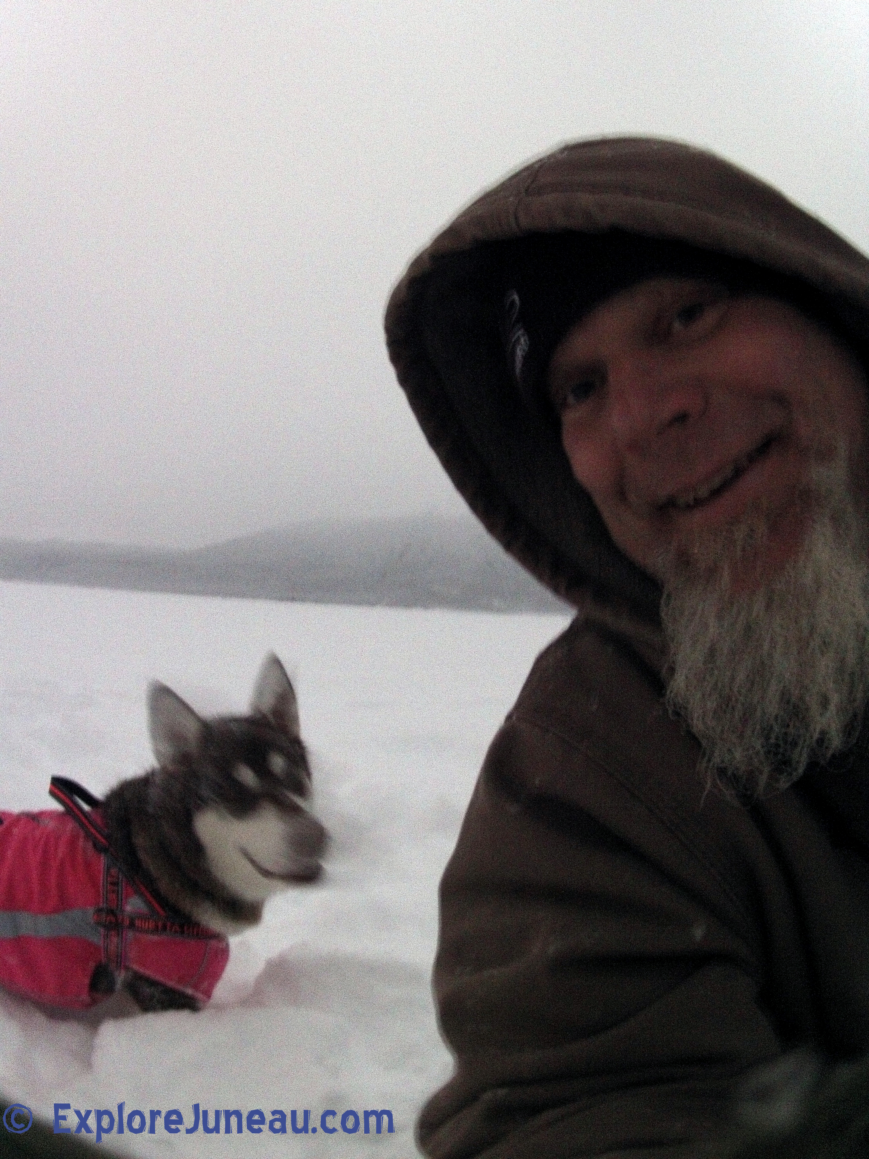 Tourist Love <3 Russell Josh Peterson (with Skadi & Freya) Sharing Love with Visitors Downtown Juneau Alaska <3 Please http://ExploreJuneau.com ~ Enjoy!