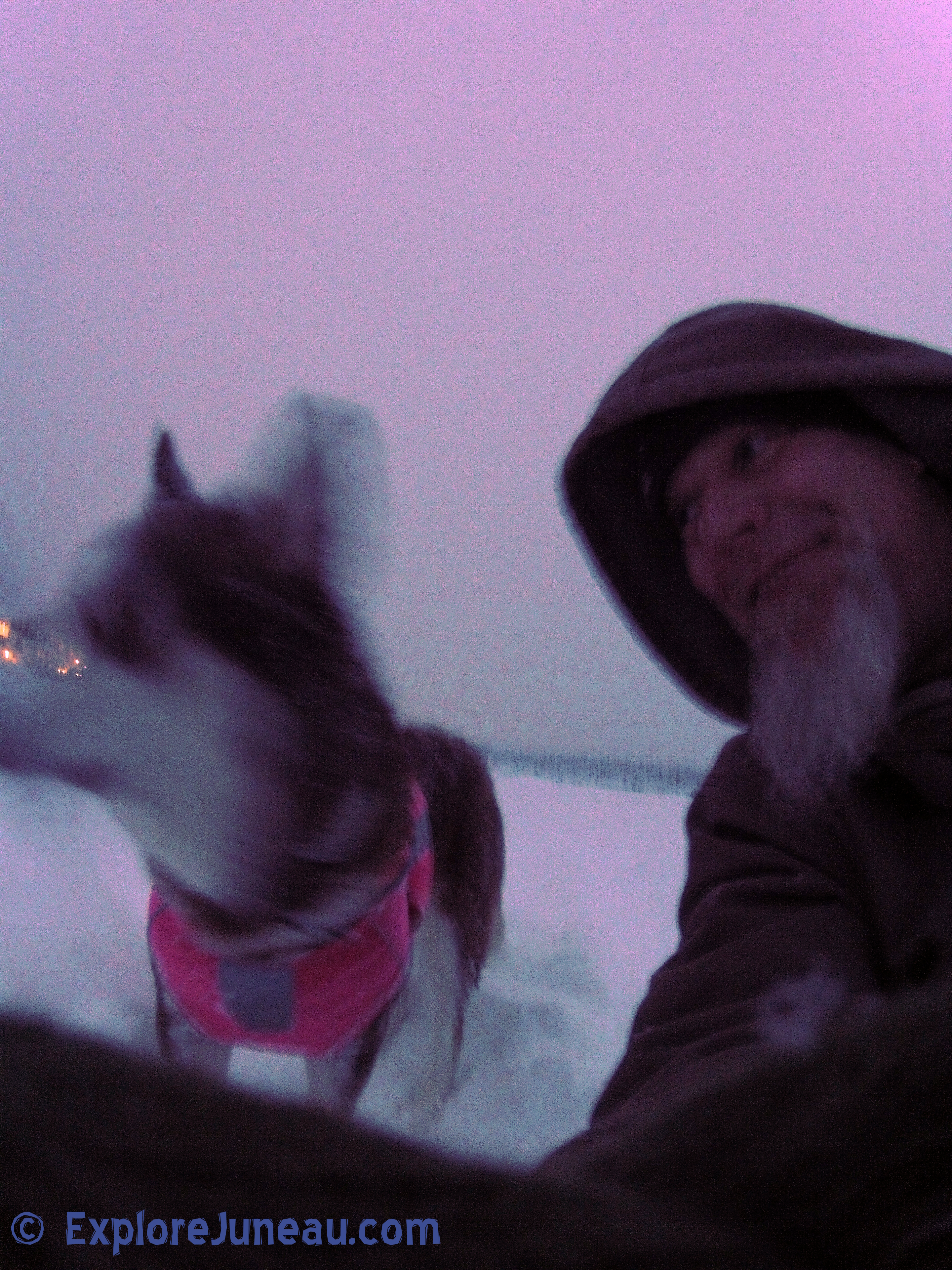 Tourist Love <3 Russell Josh Peterson (with Skadi & Freya) Sharing Love with Visitors Downtown Juneau Alaska <3 Please http://ExploreJuneau.com ~ Enjoy!