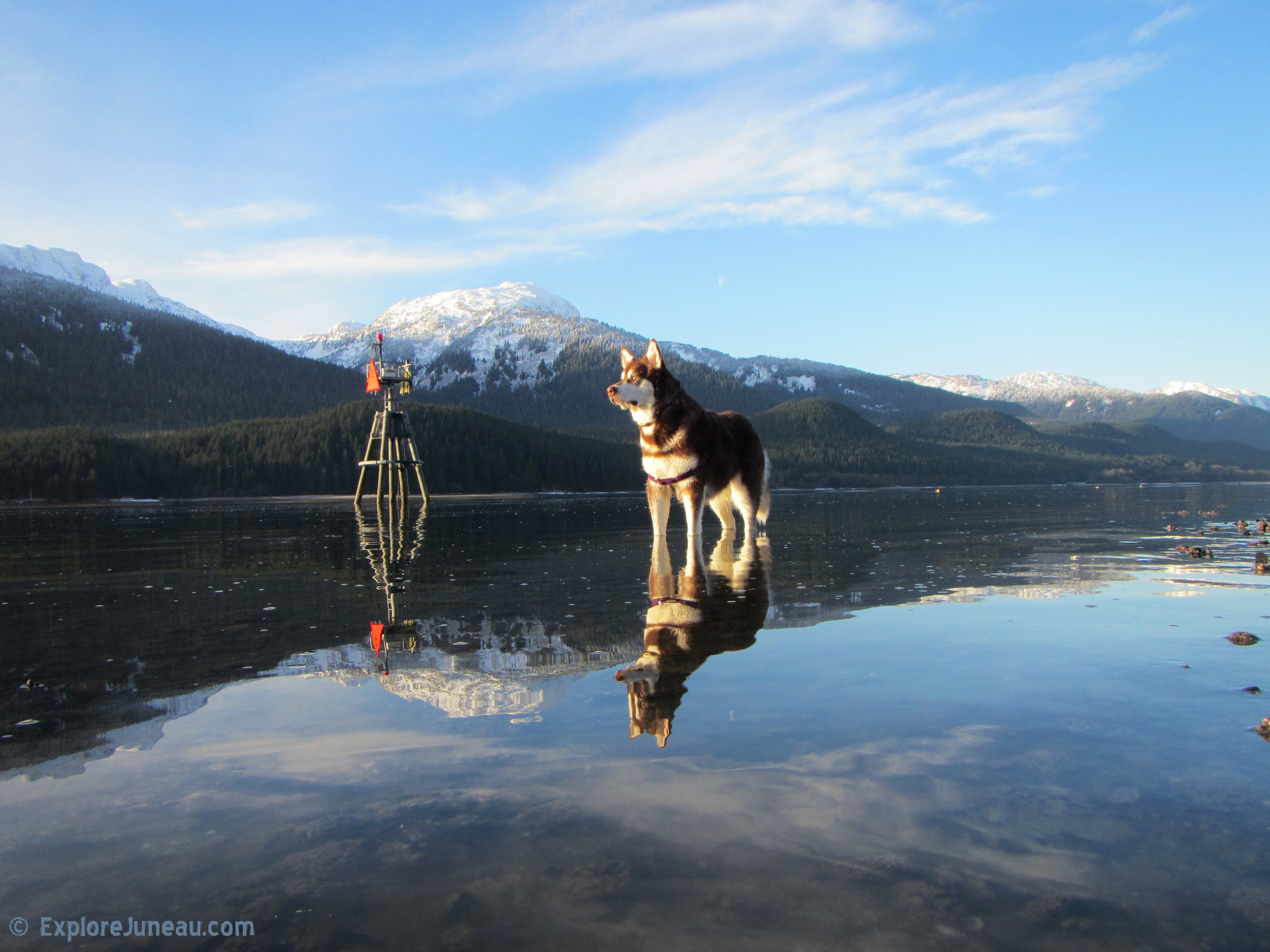 Skadi ~ Viking Goddess of Winter Skiing and Justice : Sheep Creek Alaska ~ http://imdb.me/skadi Thank you for your Kindness and Support.