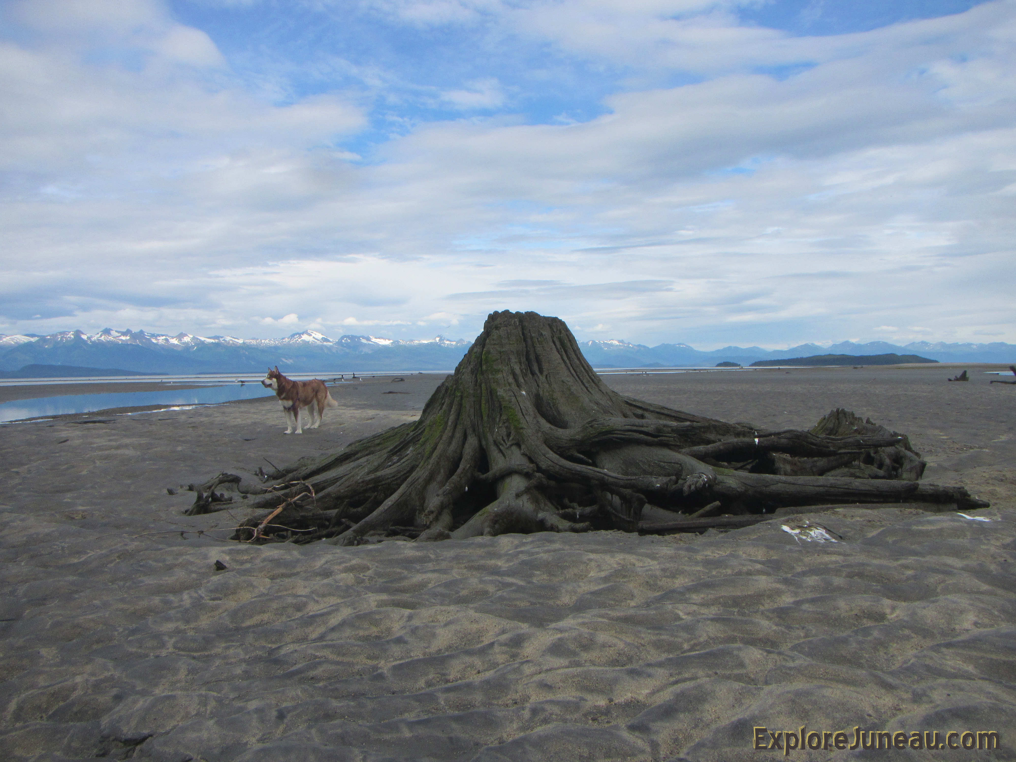 Eagle Beach Juneau Alaska, and Skadi ~ Thank you for your Kindness and Support!