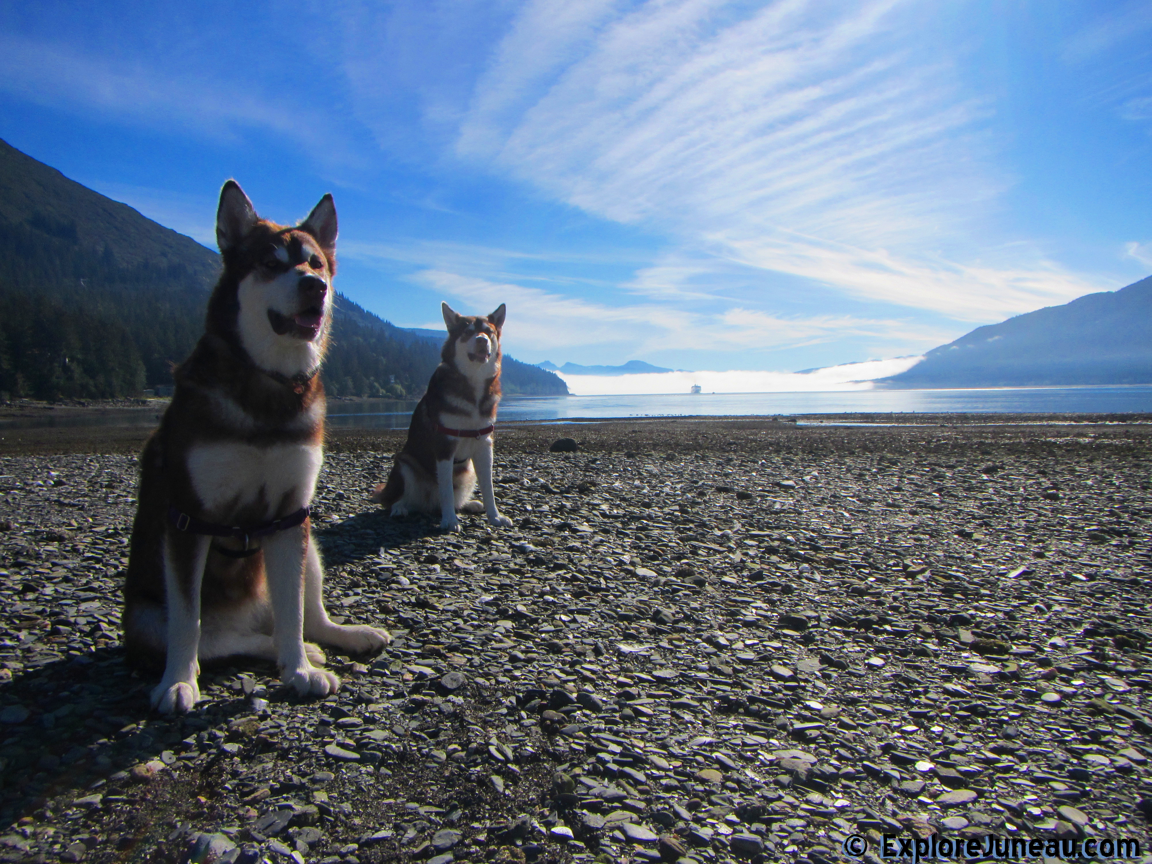 Skadi and Freya with Russell Josh Peterson @ Sheep Creek Juneau Alaska 