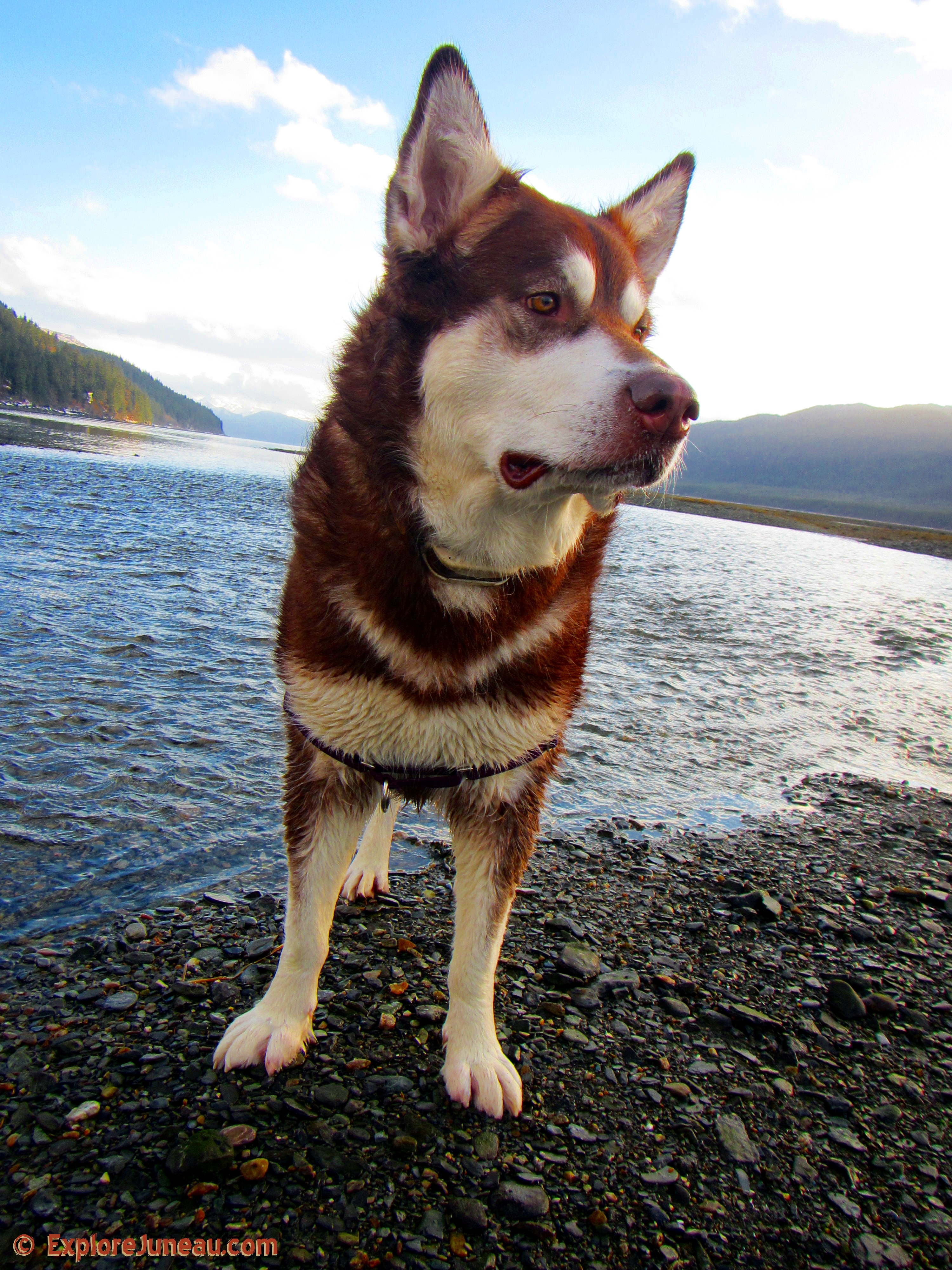 Skadi ~ Viking Goddess of Winter Skiing and Justice : Sheep Creek Alaska ~ http://imdb.me/skadi Thank you for your Kindness and Support.