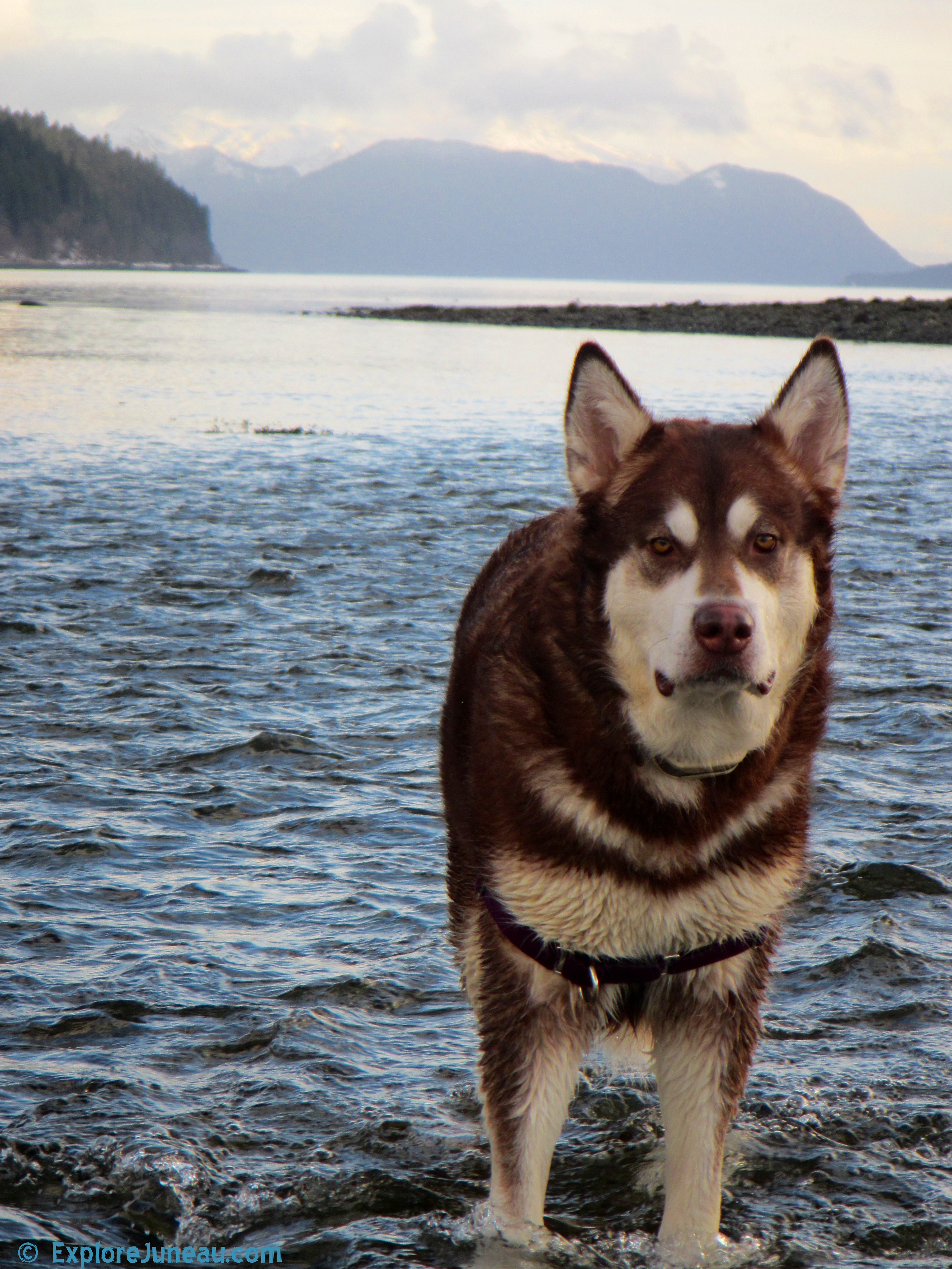 Skadi ~ Viking Goddess of Winter Skiing and Justice : Sheep Creek Alaska ~ http://imdb.me/skadi Thank you for your Kindness and Support.