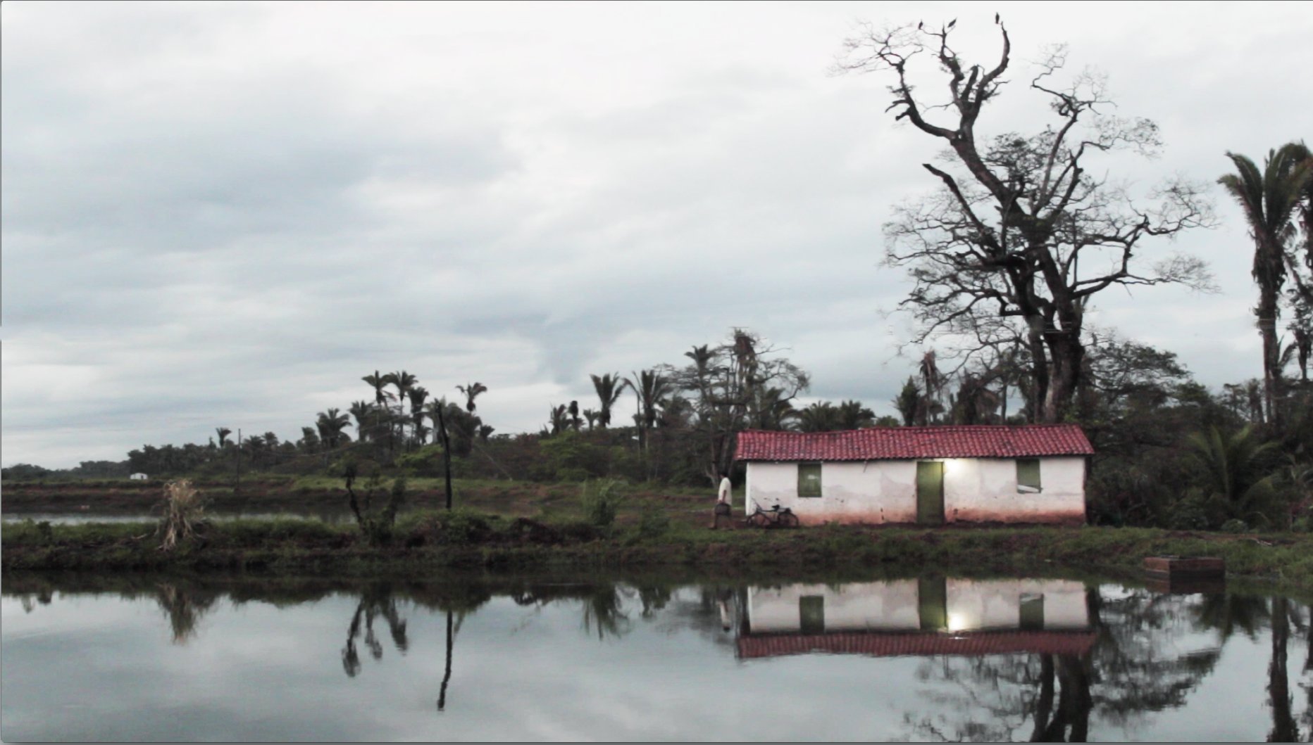 Still Photo - The Road of Milk