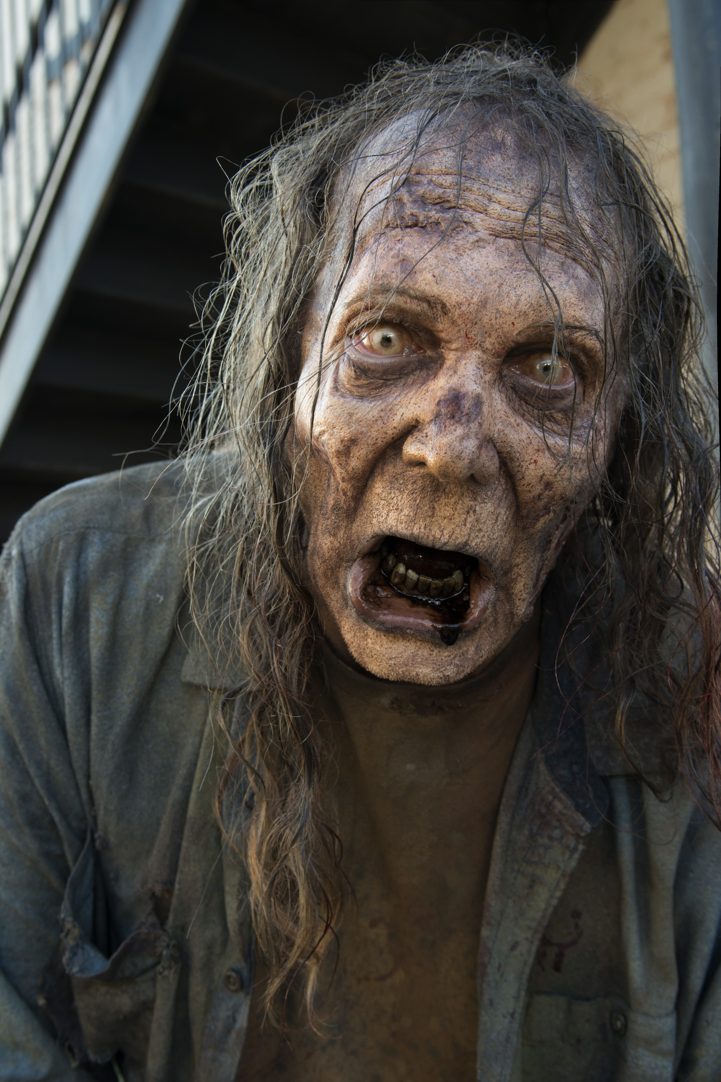 Still of Greg Nicotero in Vaikstantys numireliai (2010)