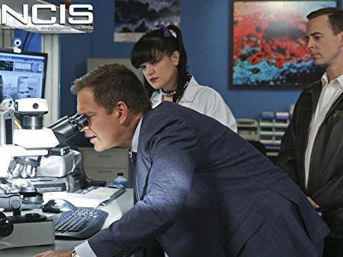 Still of Pauley Perrette, Sean Murray and Michael Weatherly in NCIS: Naval Criminal Investigative Service (2003)