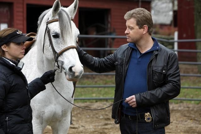 Still of Nic Bishop in Body of Proof (2011)