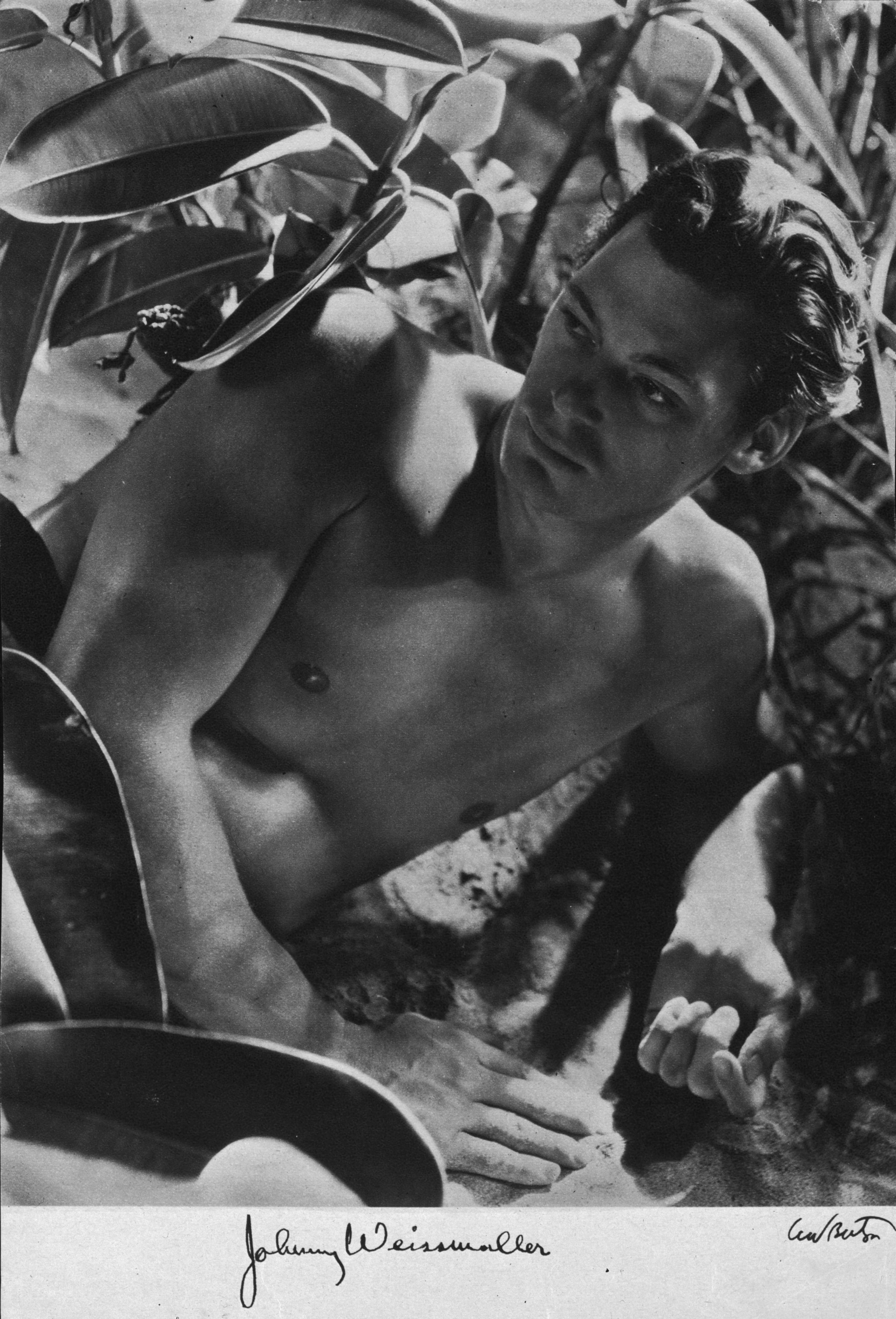 Still of Johnny Weissmuller in Tarzan the Ape Man (1932)
