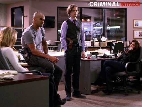 Still of Jeanne Tripplehorn, Shemar Moore, A.J. Cook and Matthew Gray Gubler in Nusikalstami protai (2005)