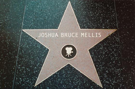 Joshua Bruce Mellis