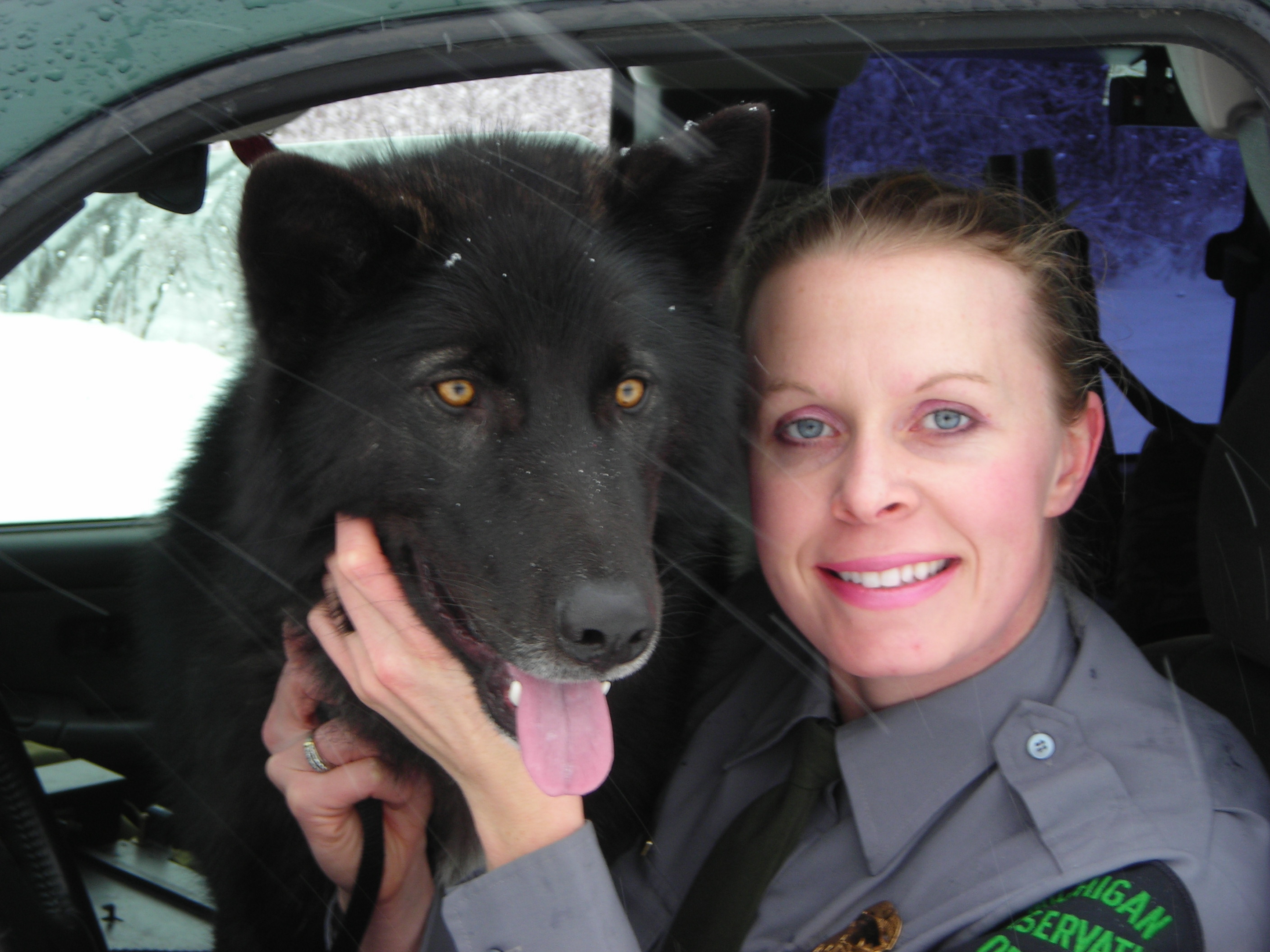 Conservation Officer Kellie Nightlinger with a wolf-dog hybrid