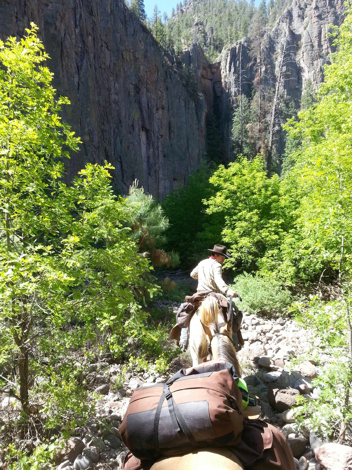 Into the Gila Wilderness 2014