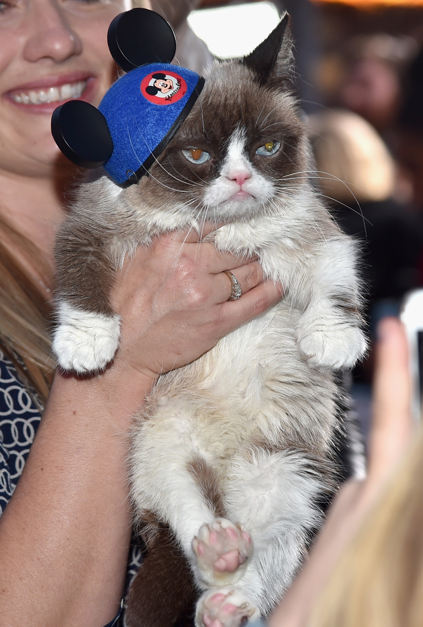 Grumpy Cat at event of Pelene (2015)